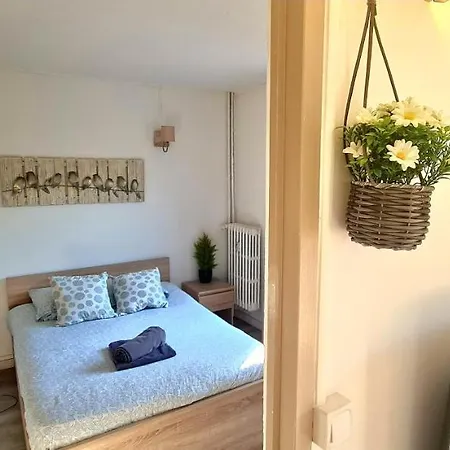 Apartman Le Cosy - 1 - 4pers - Wifi - Parking Bail Mobilite